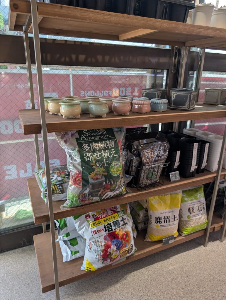 多肉植物にちょうど良い鉢|多肉植物専門店リュミエール葛飾店_20260607