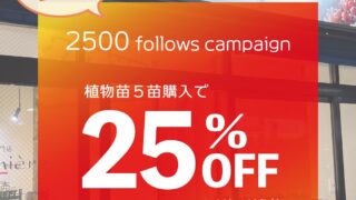 東京でエケベリアがたくさん並ぶ無人販売店|多肉植物専門店リュミエール葛飾店_20260610