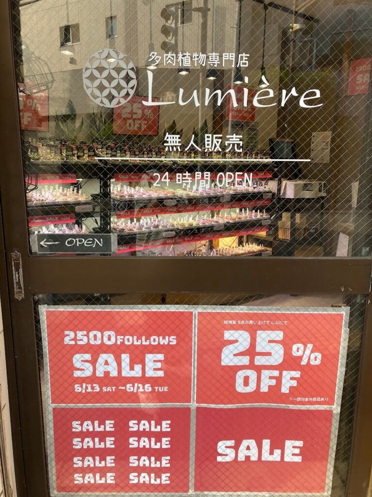東京でエケベリアがたくさん並ぶ無人販売店|多肉植物専門店リュミエール葛飾店_20260613