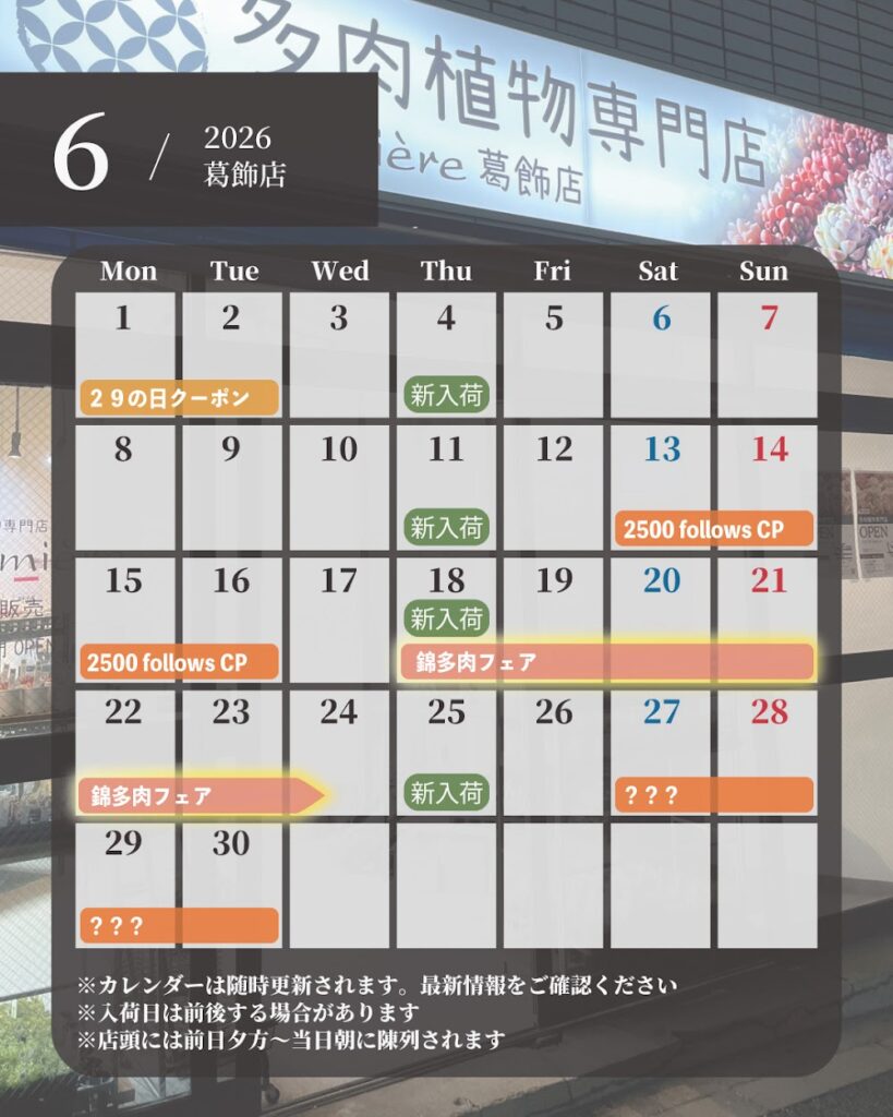 6月イベントカレンダー更新!|多肉植物専門店リュミエール葛飾店_20260615