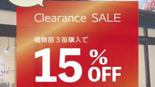 東京でエケベリアがたくさん並ぶ無人販売店|多肉植物専門店リュミエール葛飾店_20260625