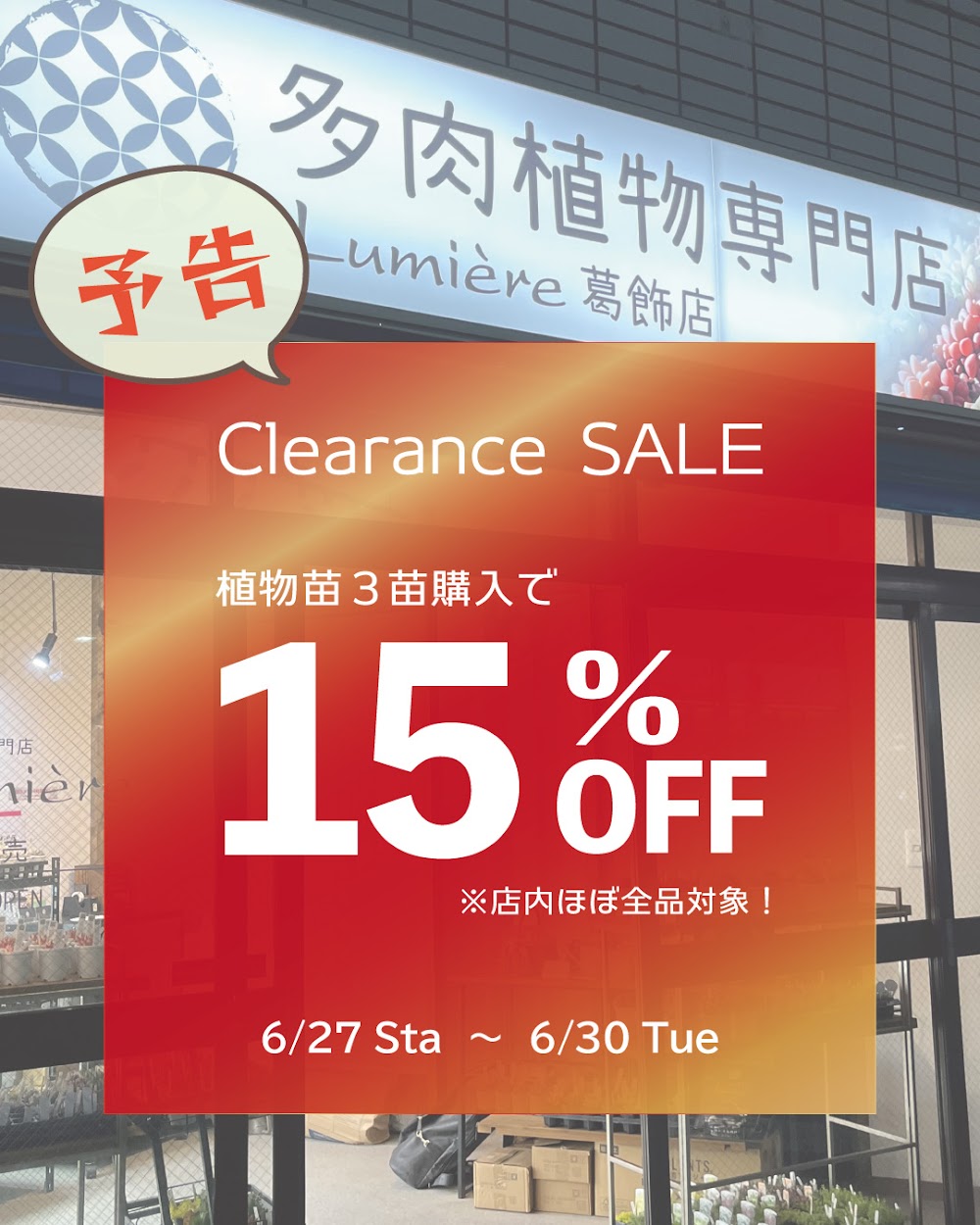 東京でエケベリアがたくさん並ぶ無人販売店|多肉植物専門店リュミエール葛飾店_20260625