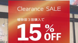 東京でエケベリアがたくさん並ぶ無人販売店|多肉植物専門店リュミエール葛飾店_20260627
