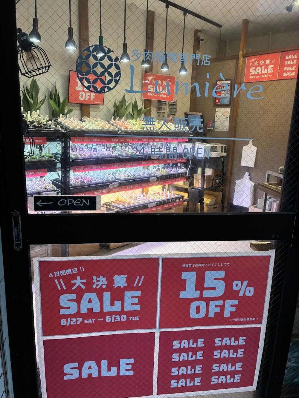 東京でエケベリアがたくさん並ぶ無人販売店|多肉植物専門店リュミエール葛飾店_20260629
