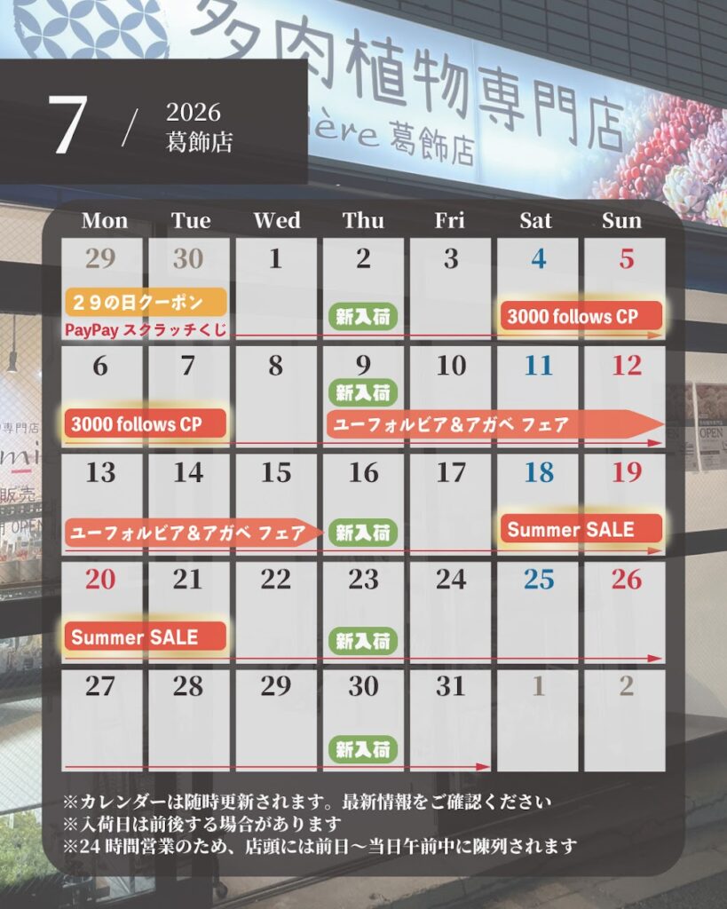 夏も熱い！イベントカレンダー|多肉植物専門店リュミエール葛飾店_20260701