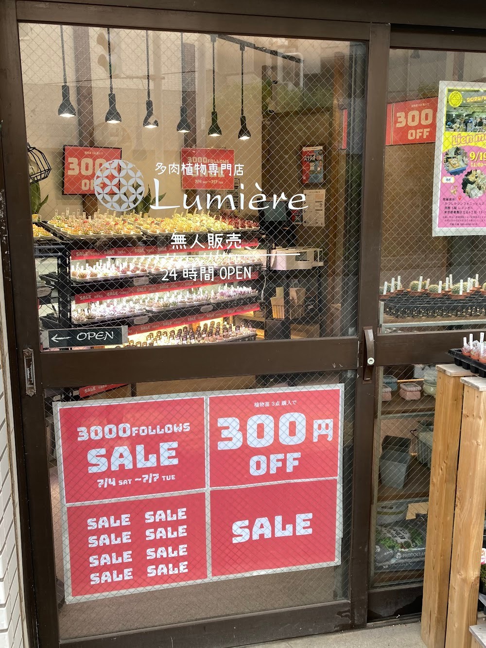東京でエケベリアがたくさん並ぶ無人販売店|多肉植物専門店リュミエール葛飾店_20260704