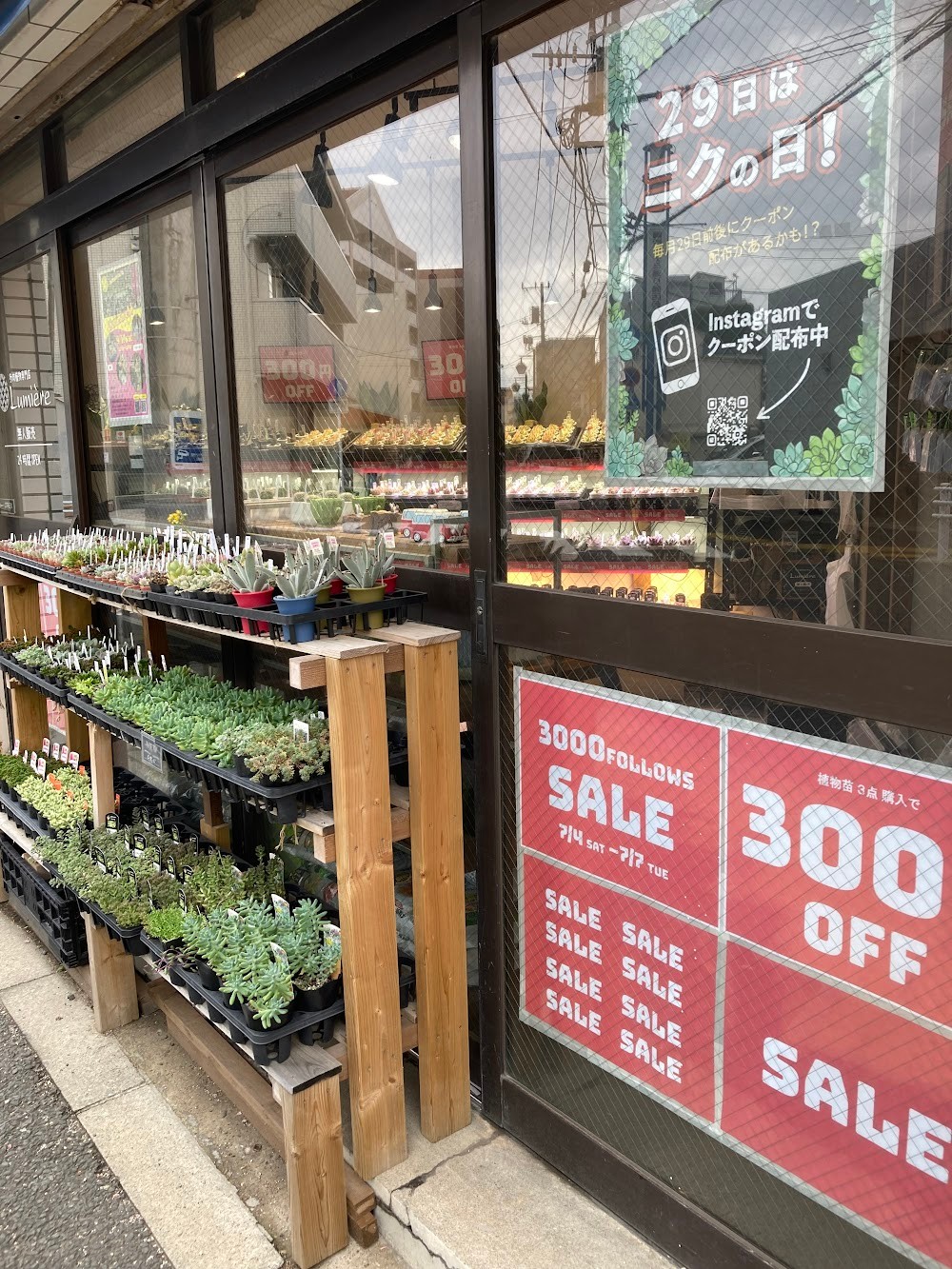 東京でエケベリアがたくさん並ぶ無人販売店|多肉植物専門店リュミエール葛飾店_20260704