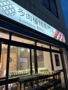 東京でエケベリアがたくさん並ぶ無人販売店|多肉植物専門店リュミエール葛飾店_20260706