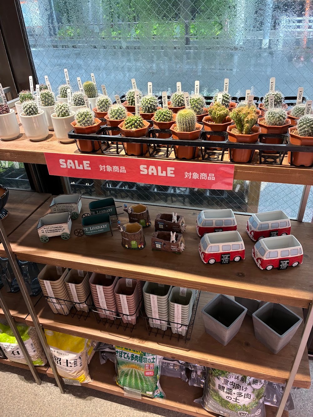 東京でエケベリアがたくさん並ぶ無人販売店|多肉植物専門店リュミエール葛飾店_20260714