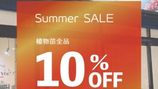 東京でエケベリアがたくさん並ぶ無人販売店|多肉植物専門店リュミエール葛飾店_20260716