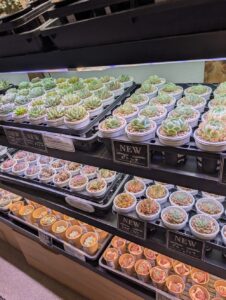 東京でエケベリアがたくさん並ぶ無人販売店|多肉植物専門店リュミエール葛飾店_20260717