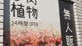 東京でエケベリアがたくさん並ぶ無人販売店|多肉植物専門店リュミエール葛飾店_20260723