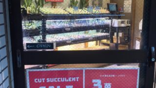 東京でエケベリアがたくさん並ぶ無人販売店|多肉植物専門店リュミエール葛飾店_20260724