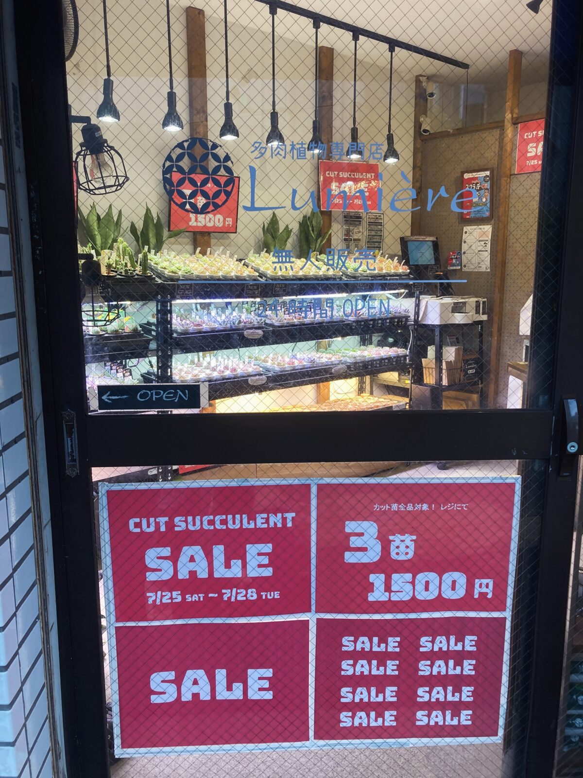 東京でエケベリアがたくさん並ぶ無人販売店|多肉植物専門店リュミエール葛飾店_20260724