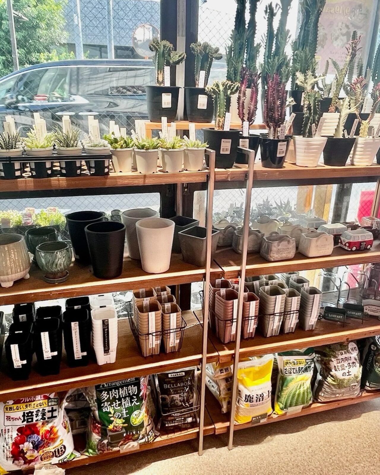 東京でエケベリアがたくさん並ぶ無人販売店|多肉植物専門店リュミエール葛飾店_20260727
