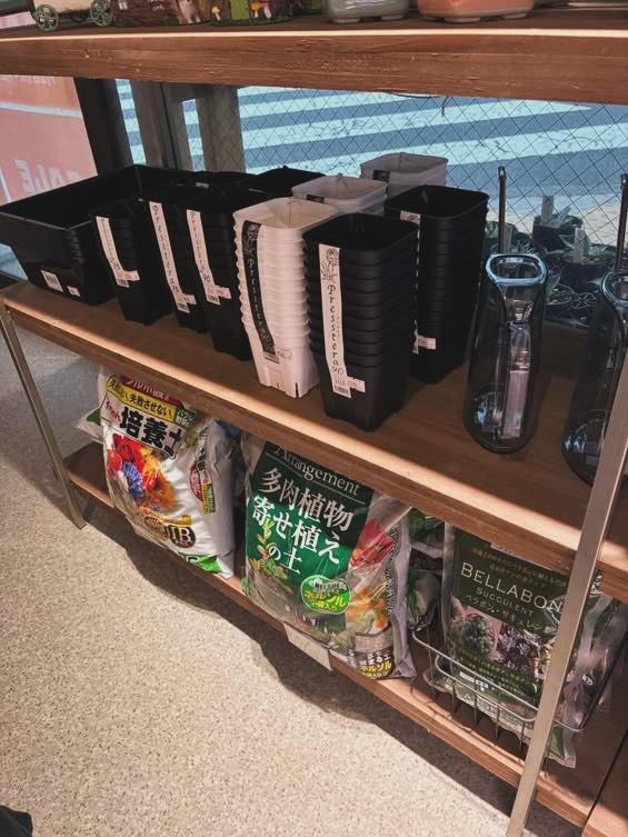 東京でエケベリアがたくさん並ぶ無人販売店|多肉植物専門店リュミエール葛飾店_20260730