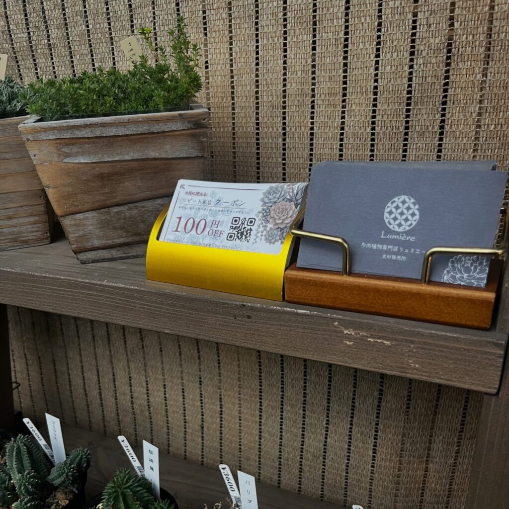 東京でエケベリアがある無人販売店|多肉植物専門店リュミエール 江東区 北砂販売所_20260707