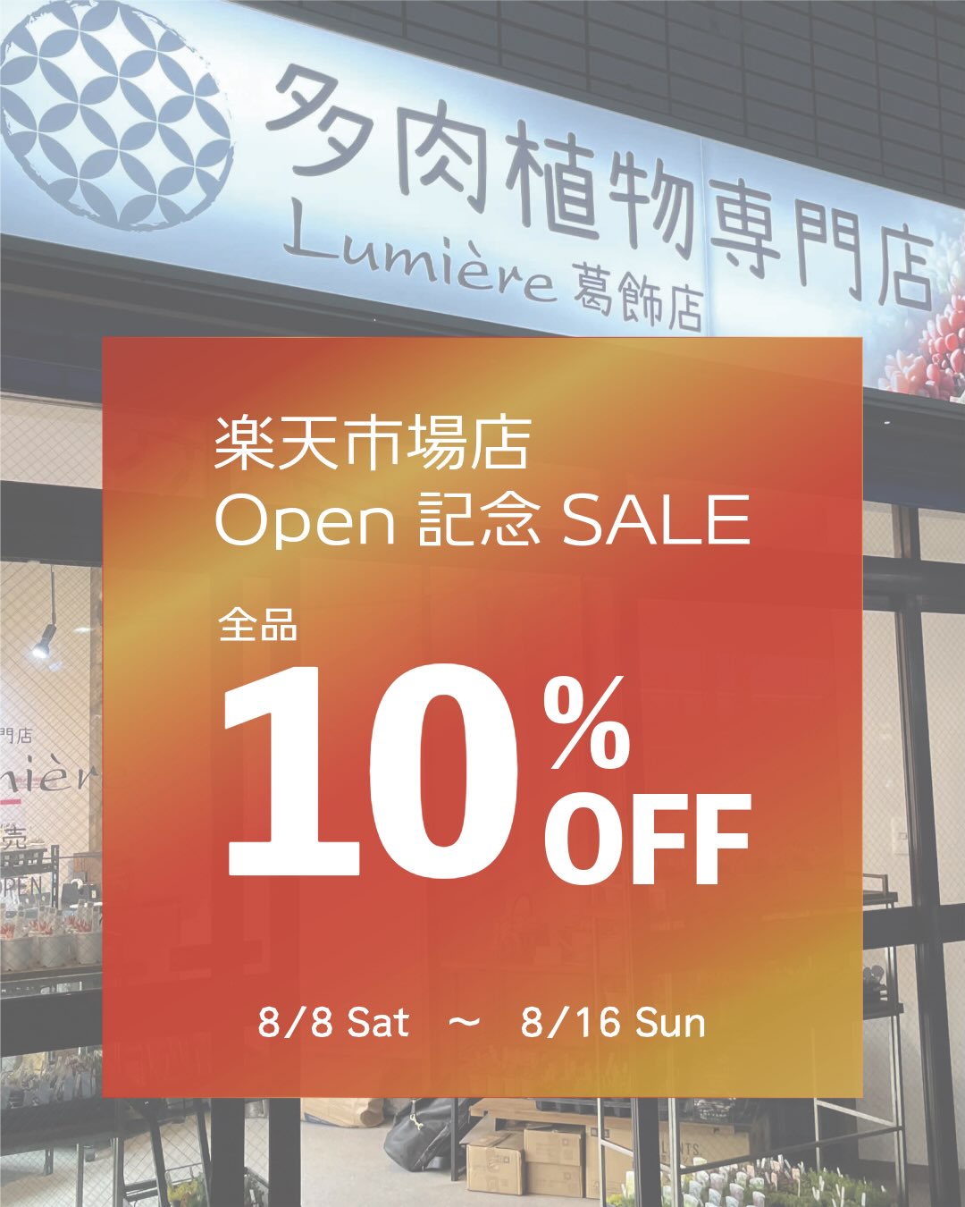 東京でエケベリアがたくさん並ぶ無人販売店|多肉植物専門店リュミエール葛飾店_20260807