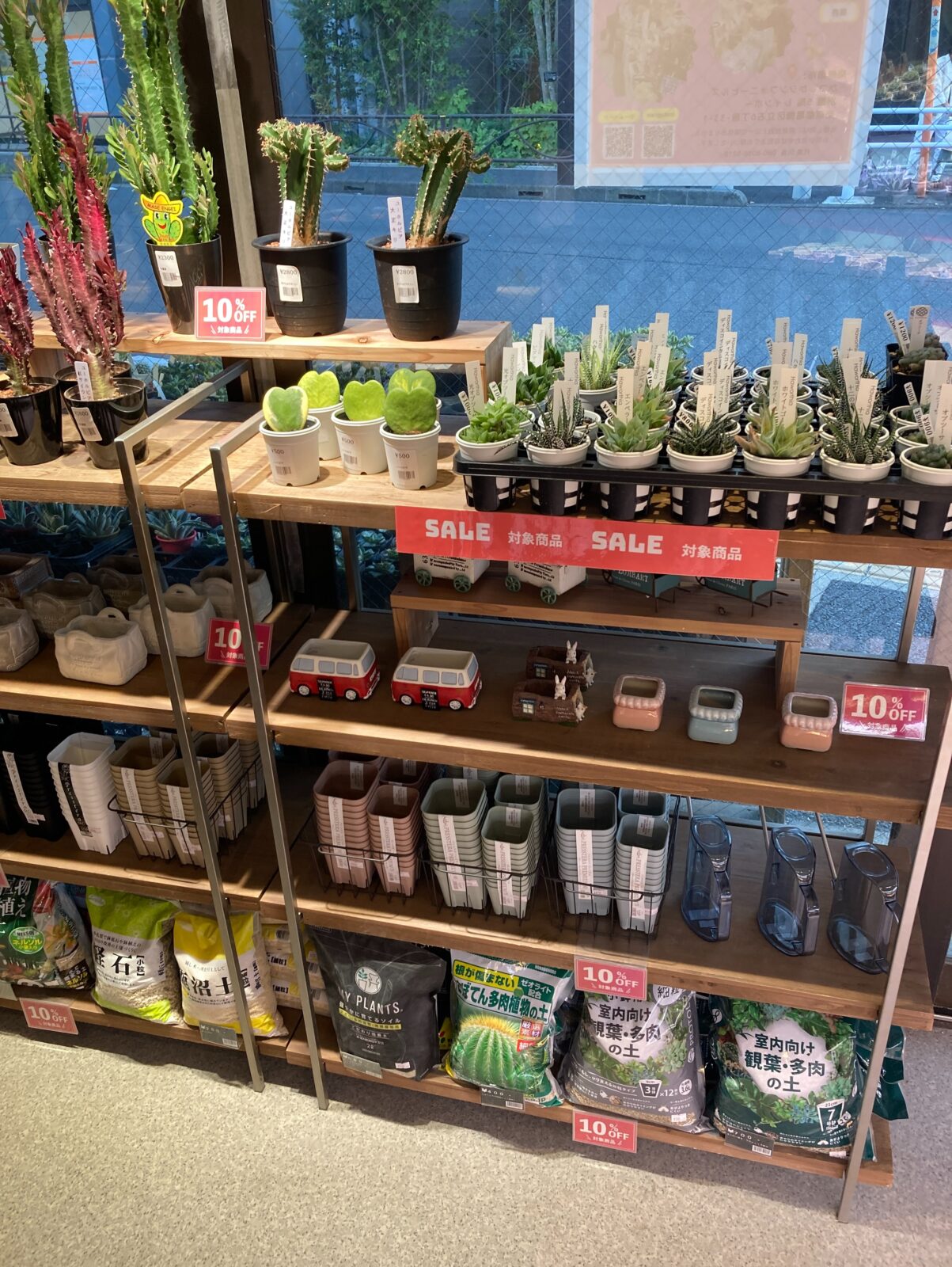 東京でエケベリアがたくさん並ぶ無人販売店|多肉植物専門店リュミエール葛飾店_20260809
