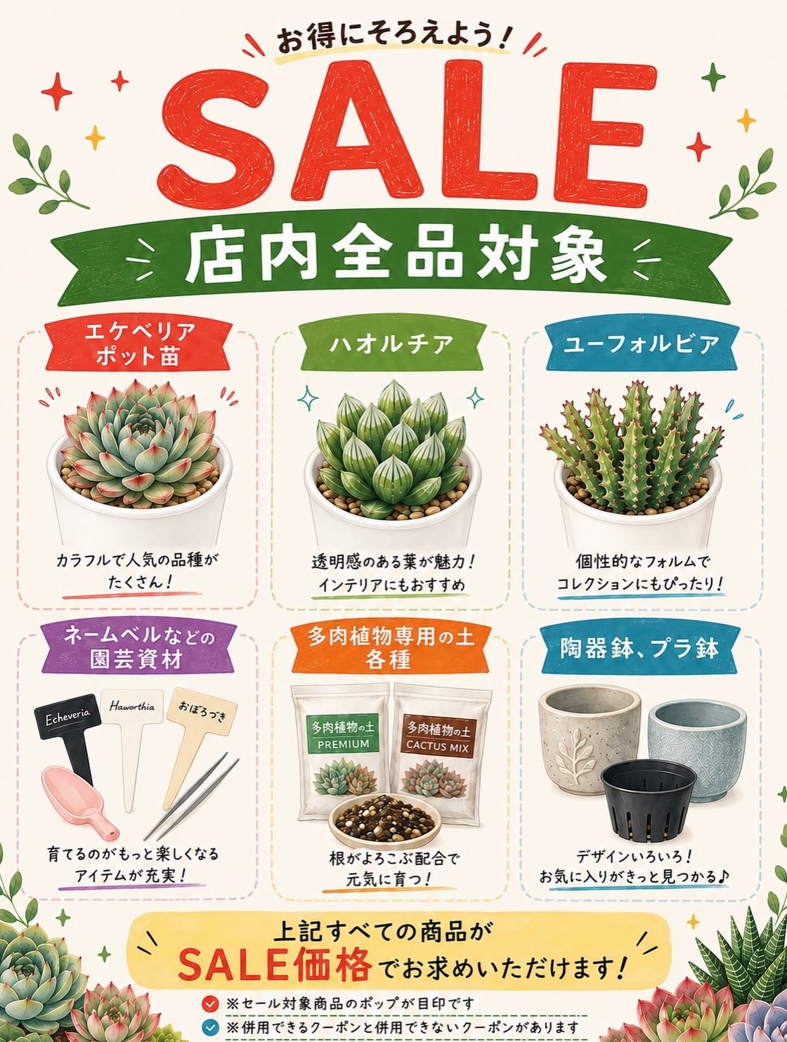 東京でエケベリアがたくさん並ぶ無人販売店|多肉植物専門店リュミエール葛飾店_20260809