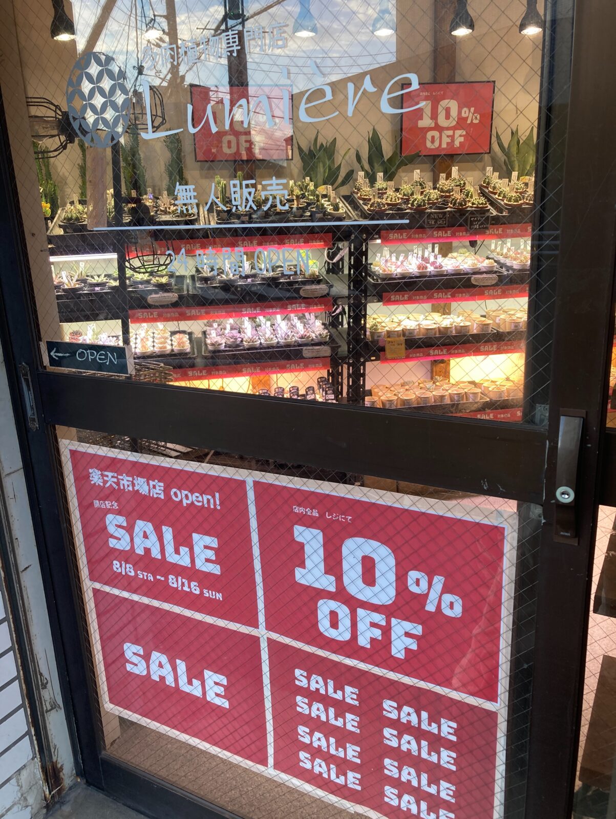 東京でエケベリアがたくさん並ぶ無人販売店|多肉植物専門店リュミエール葛飾店_20260809