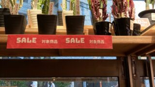 東京でエケベリアがたくさん並ぶ無人販売店|多肉植物専門店リュミエール葛飾店_20260810