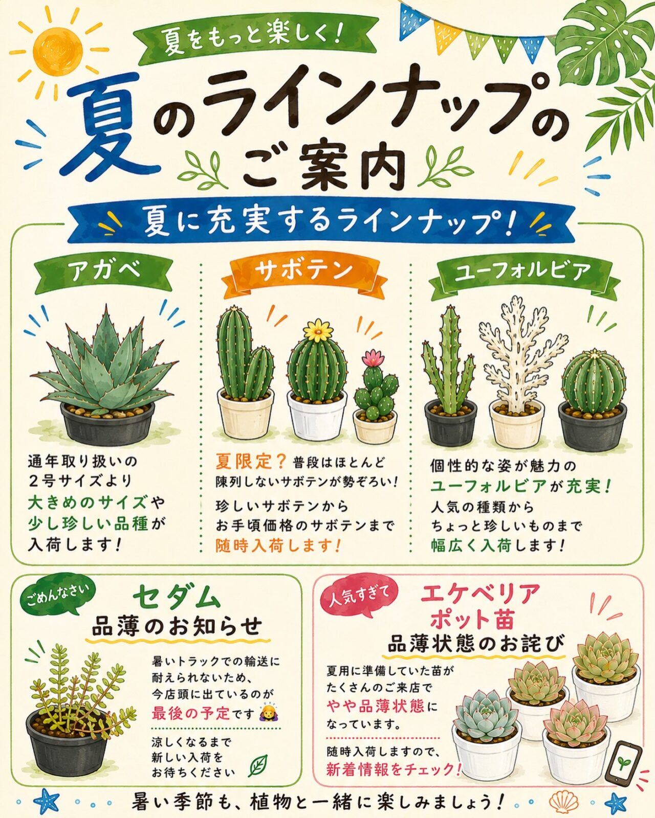 東京でエケベリアがたくさん並ぶ無人販売店|多肉植物専門店リュミエール葛飾店_20260818