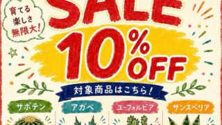 東京でエケベリアがたくさん並ぶ無人販売店|多肉植物専門店リュミエール葛飾店_20260821