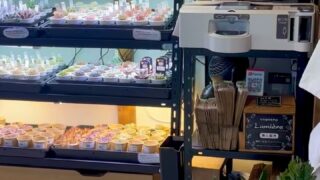 東京でエケベリアがたくさん並ぶ無人販売店|多肉植物専門店リュミエール葛飾店_20260822