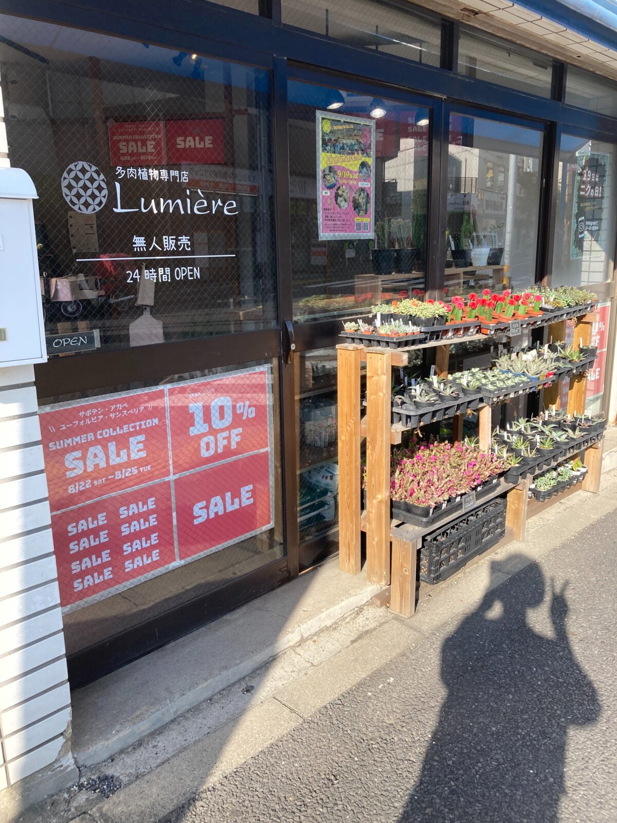 東京でエケベリアがたくさん並ぶ無人販売店|多肉植物専門店リュミエール葛飾店_20260824